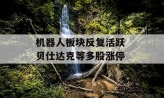 机器人板块反复活跃 贝仕达克等多股涨停